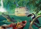 Hidden Expedition