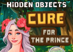 Hidden Objects: Cure For The Prince