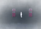 Hide