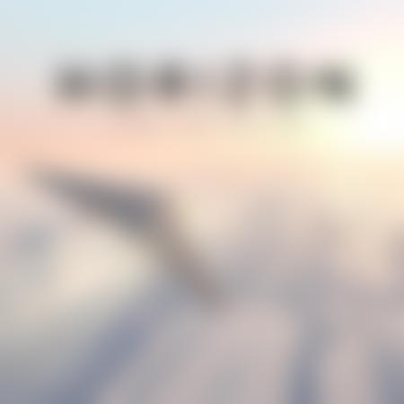 Horizon: Flight Into the Light