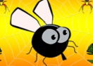 Hungry Fly