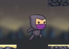 Incredible Ninja