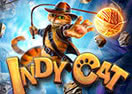 Indy Cat