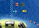 Jet Boat Racing