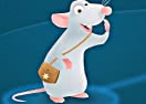 Journey of the Mouse