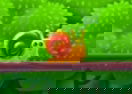 Jumping Snail