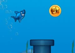 Jumpy Shark