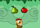 Jungle Master