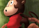 Jungle Monkey