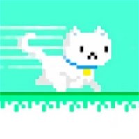 Jogo Happy Cat no Jogos 360