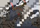 Kill Gore