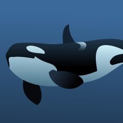 Killer Whale Game