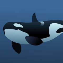 Killer Whale Game