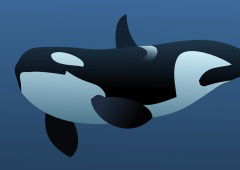 Killer Whale Game