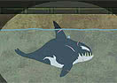 Killer Whale