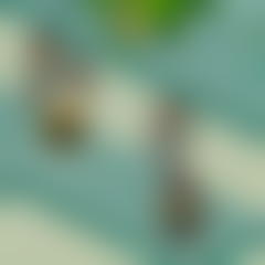 King Bird Tower Defense