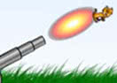 Kitten Cannon
