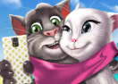 Kittens Selfie Time