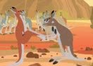 Kratts Brothers and the Kangaroos
