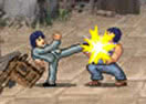 Kung Fu Fighter