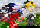 Ladybug & Cat Noir Maker