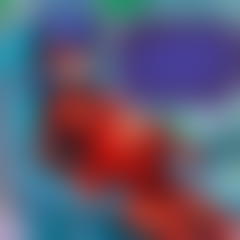 Ladybug Pregnant Caring