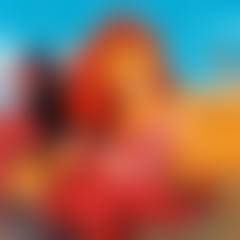 Lion King Jigsaw Puzzle Collection