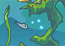 Little Whale Austin