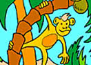 Livro de Colorir da Selva