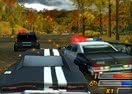 Lose the Heat 3: Highway Hero