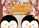 Love Animals