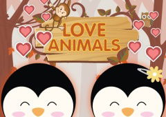 Love Animals