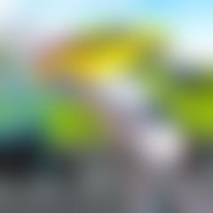 Marvelous Hot Wheels