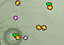 Microlife