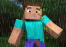 Minecraft Forest Storm