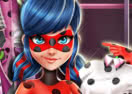 Miraculous Hero Closet