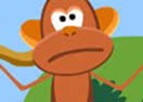 Monkey Monkey
