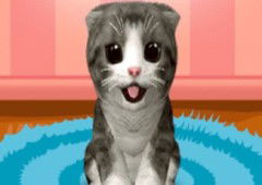 My Cat Bella