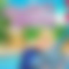 My Dolphin Show 6