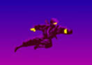 Ninja Combat