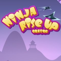 Ninja Rise Up Online