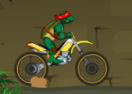 Ninja Turtle Bike