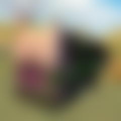 Old Country Bus Simulator