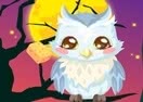Owl Care