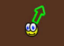 Pacco