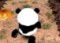 Panda Jungle Run 3D