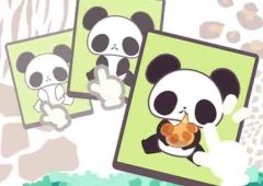 Panda & Pão