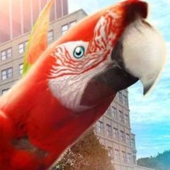 Parrot Simulator