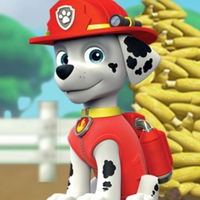 Paw Patrol: Corn Roast Catastrophe