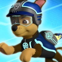 Paw Patrol: Mission Paw